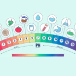 8. Sınıf Asitler ve Bazlar Konu Anlatımı ph Skalası